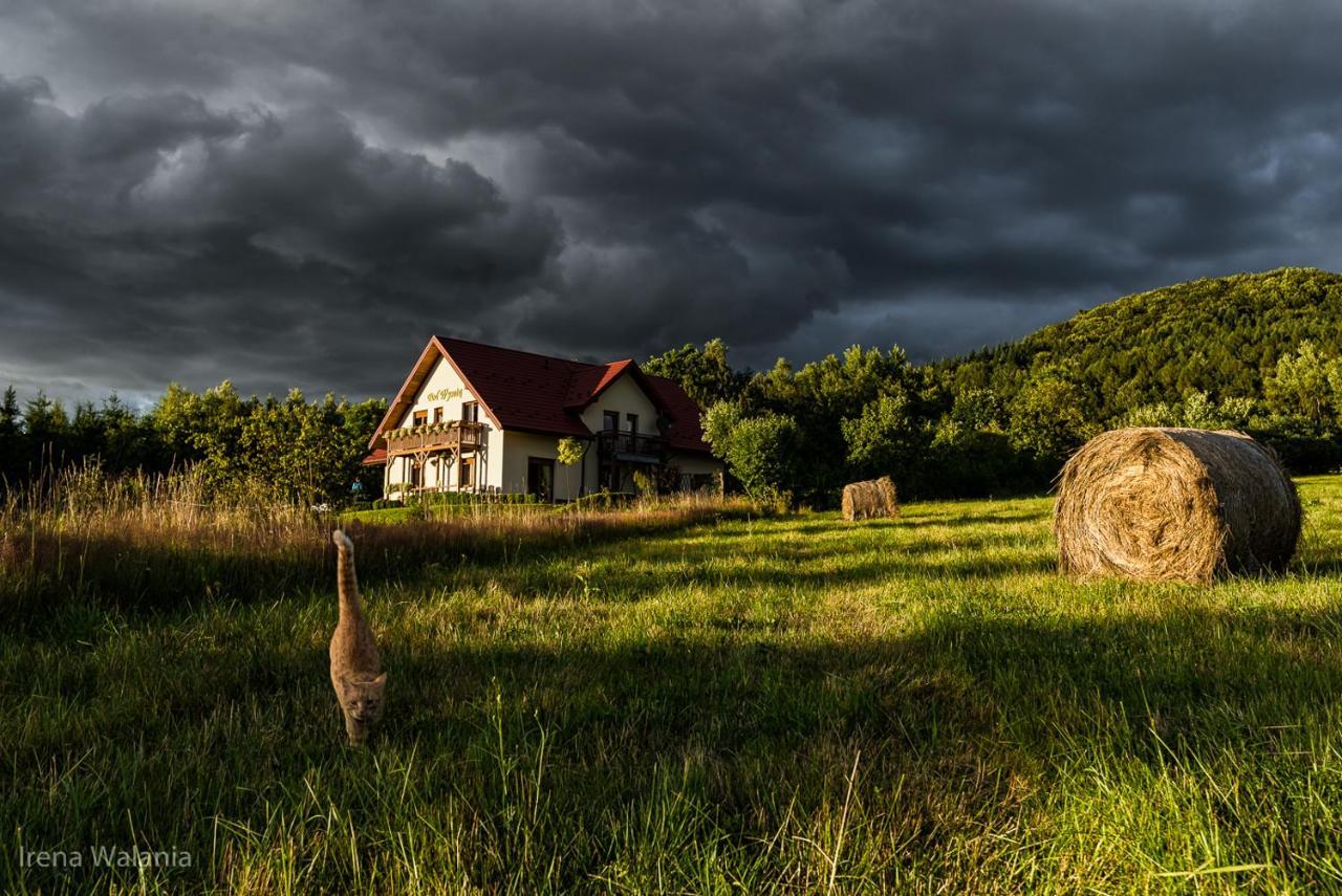 Pokoje Goscinne Pod Wysota Wysowa-Zdrój Esterno foto