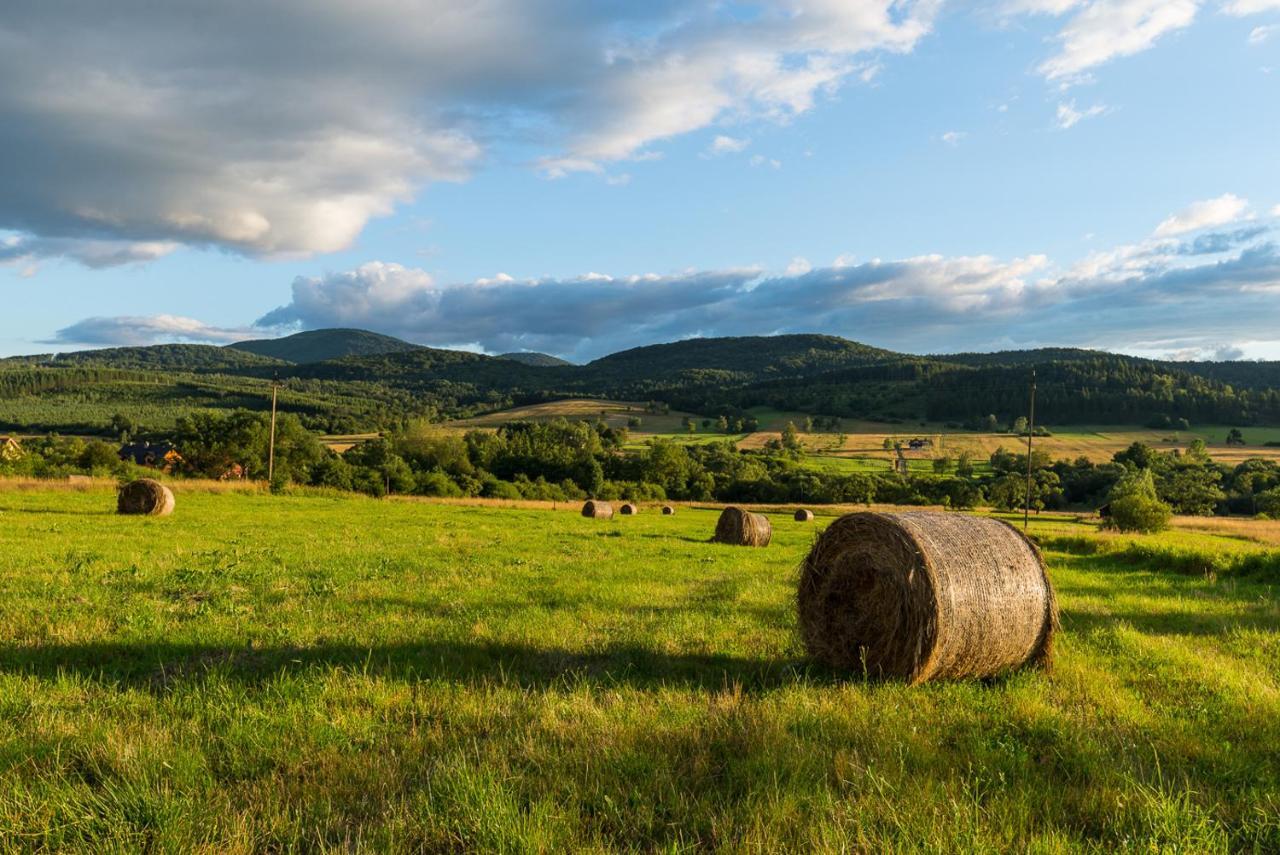 Pokoje Goscinne Pod Wysota Wysowa-Zdrój Esterno foto